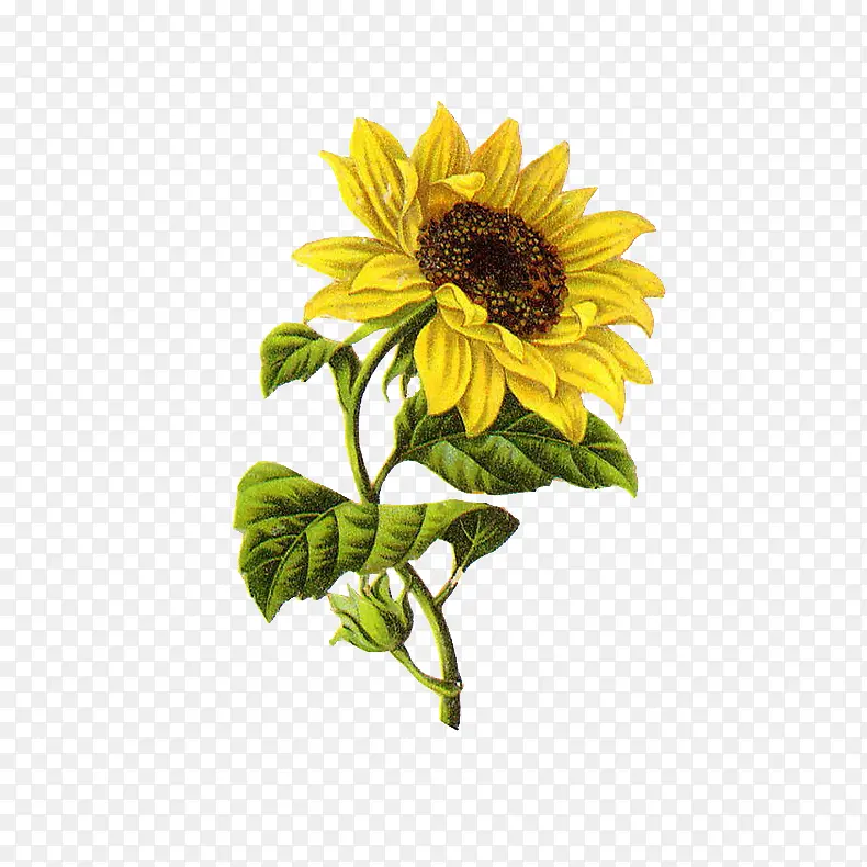 �ɲ廭��-������