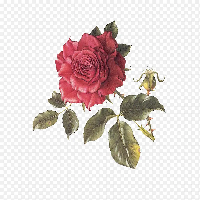 �ɲ廭��-������