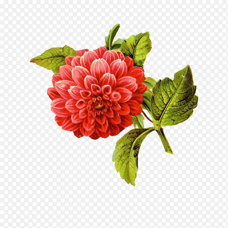 �ɲ廭��-������