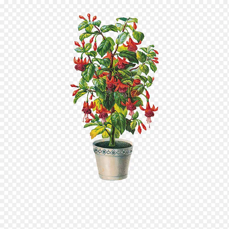 �ɲ廭��-������