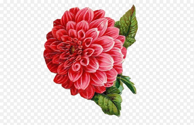 �ͻ�-������