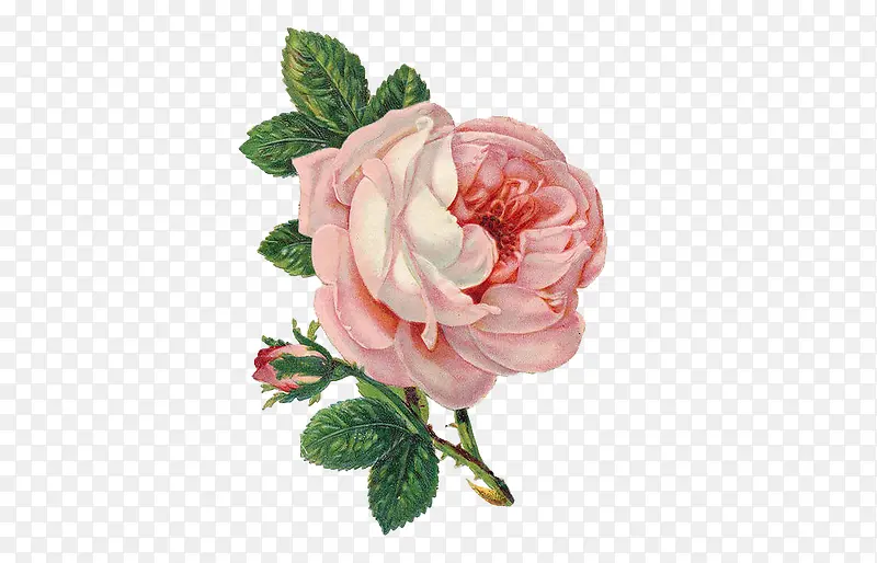 ����Ԫ��-������