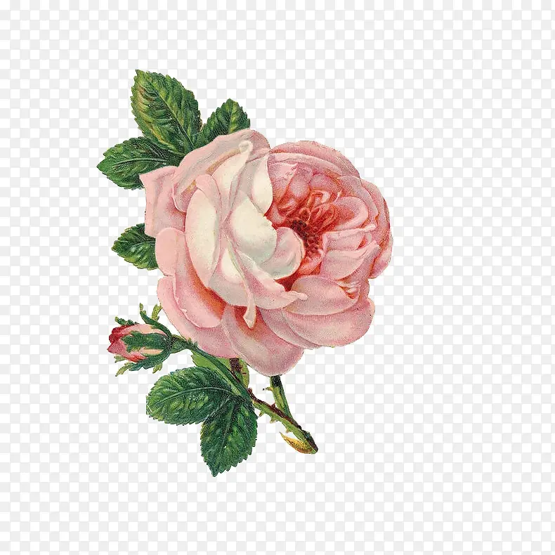 �ɲ廭��-������