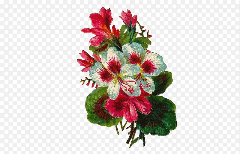 ����Ԫ��-������