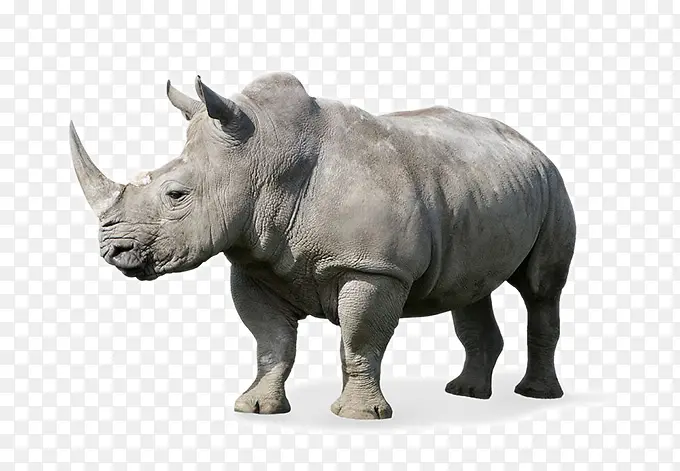 ������Ϭ�ƶ���-������