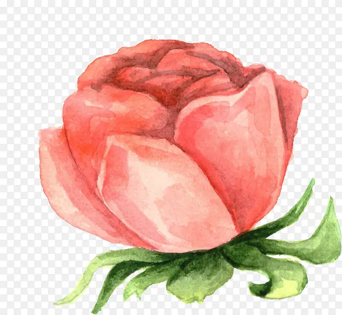 ˮ�ʻ�����-������