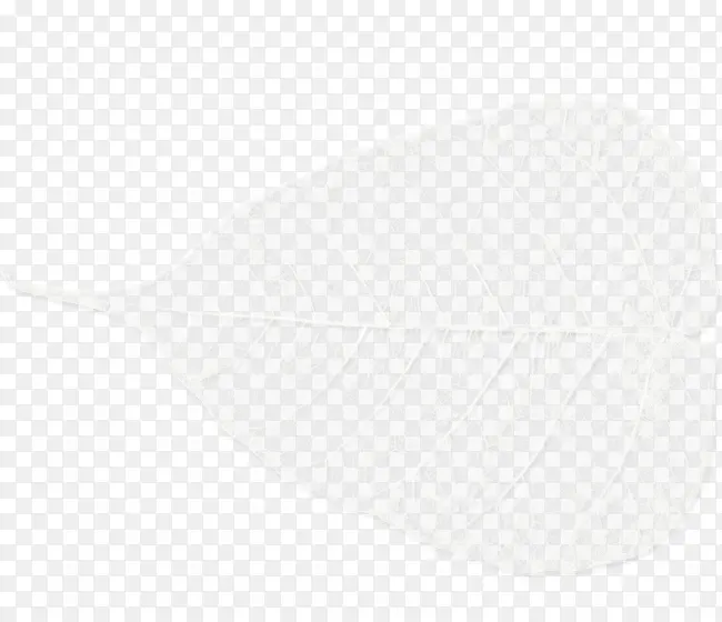 ��ɫƯ����Ҷ-������