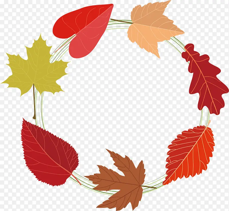 ˮ�ʻ���Ҷʸ��ͼ-������