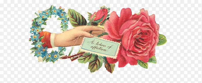 �ֻ渴�ŷ绨��-������