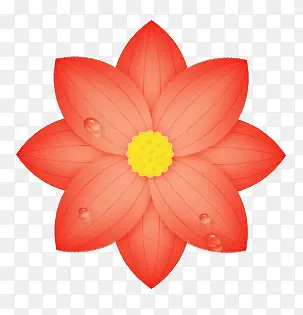 ����ͼ��-������