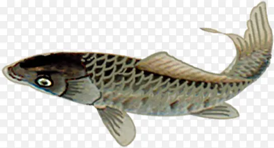 ������Ӱˮ�к�����-������