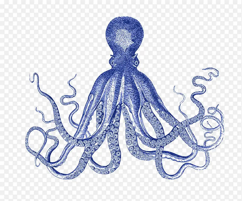 ��ͨ�ֻ�ī��-������