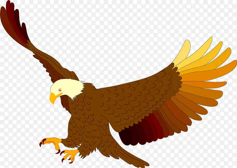 �ſ�������ӥ-������