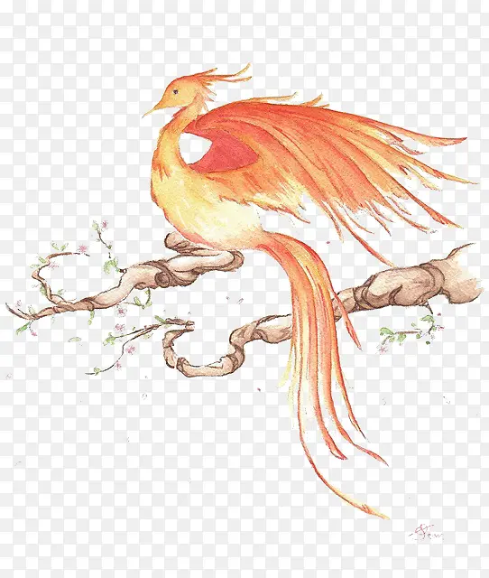 ��֦�ϵķ��-������