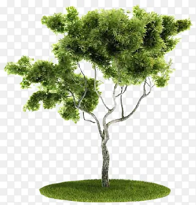 ��-������