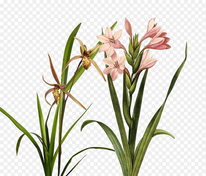 �ۺ�������-������