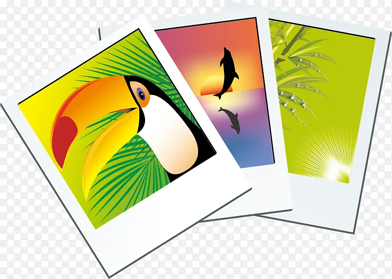 ��Ƭpngʸ���ز�-������