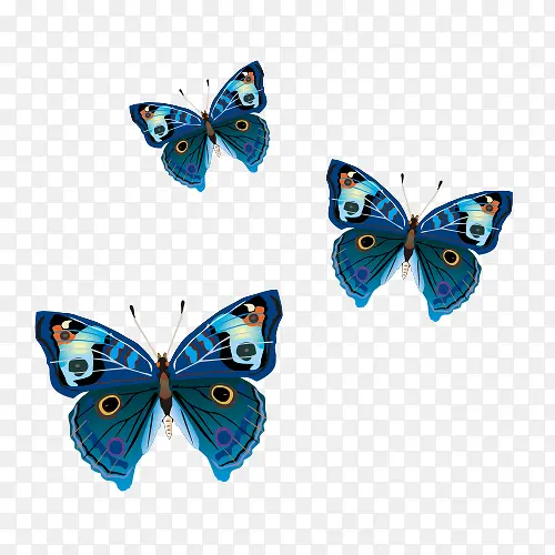 �ߵ����ʸ��ͼ-������