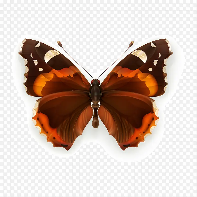 ����-������