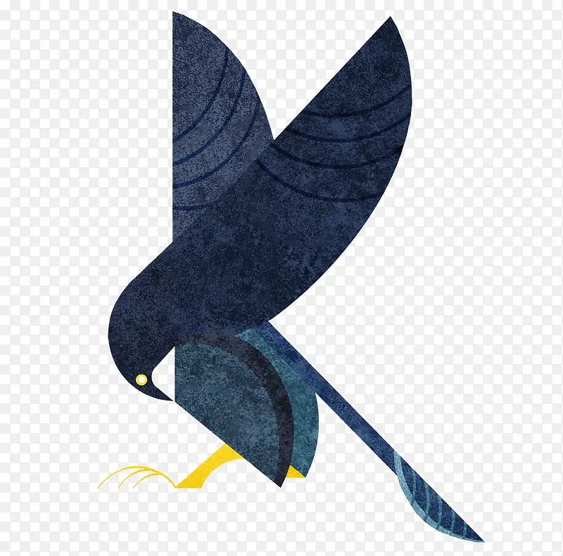 �ſ����ĺ�ɫ��ӥ-������