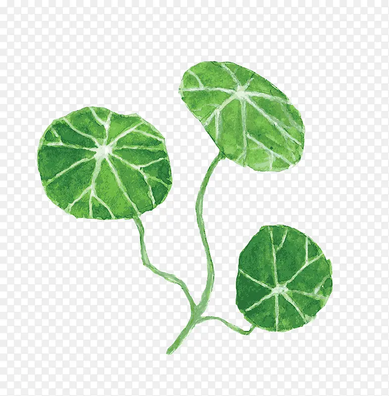 ��ͨ�ֻ�ɻ�Ҷ-������