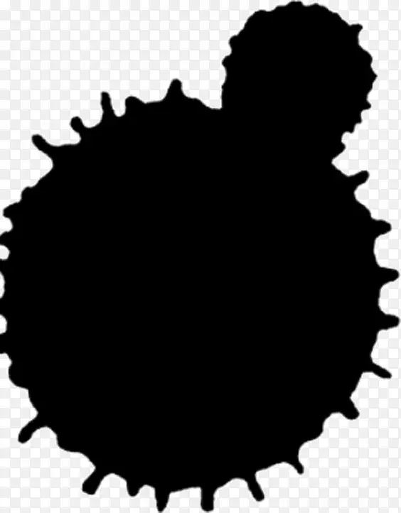 ��ɫī��-������