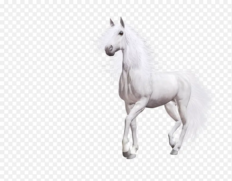 ����������ͼ�ز�-������