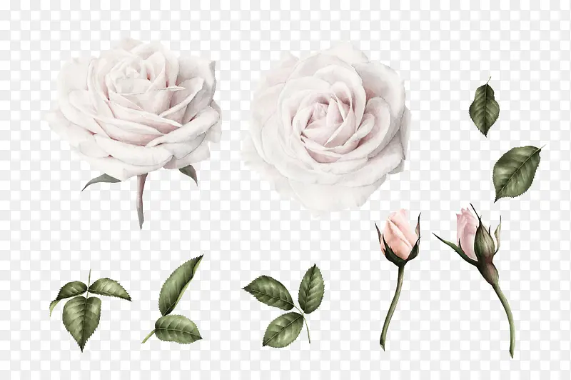 ��ɫ�ʻ�����-������