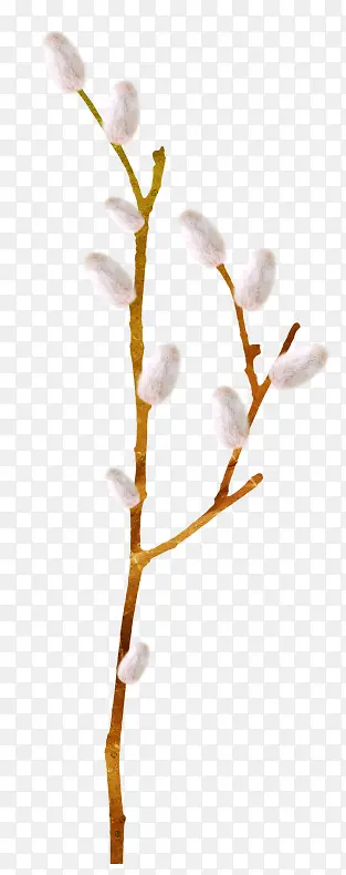 ��֦-������