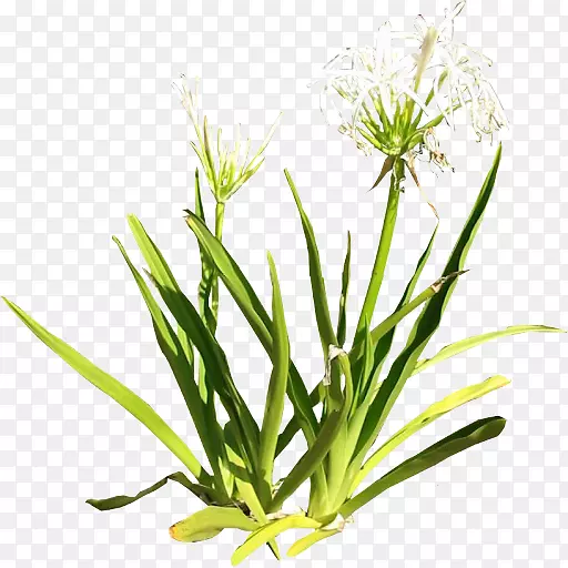 ֲ��ٺϼ�����-�ٺ�-������