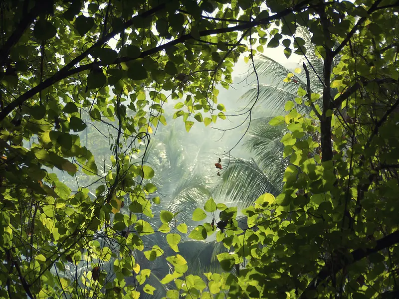 ��������-������