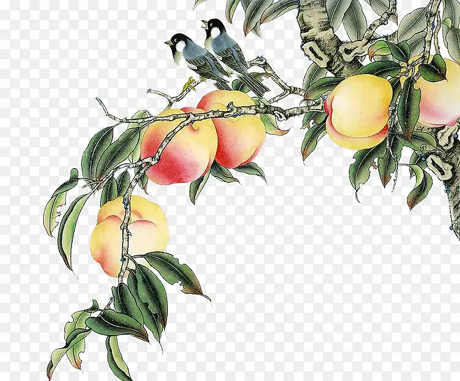 ˮ������-������