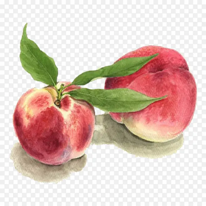 ˮ������-������