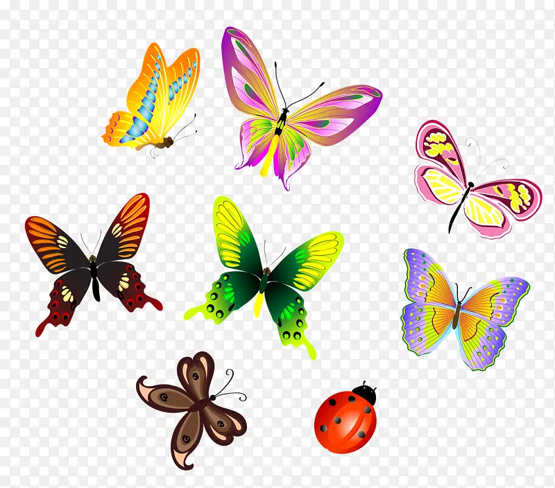 ��ɫ����-������