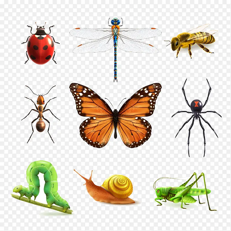 ��������-������