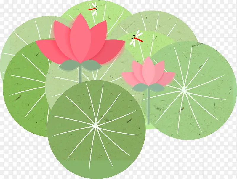 ��Ӱ����������Ҷ�ֻ�-������