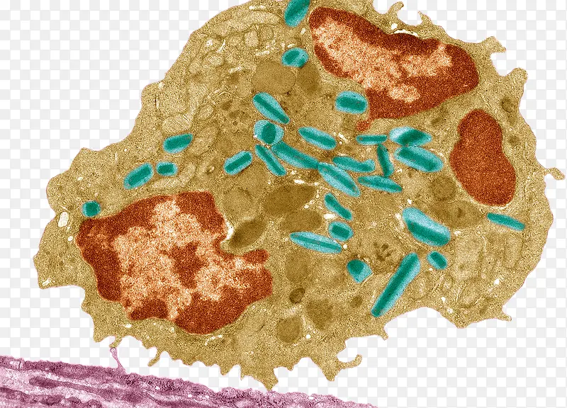 ����ϵͳ����ϸ��-������