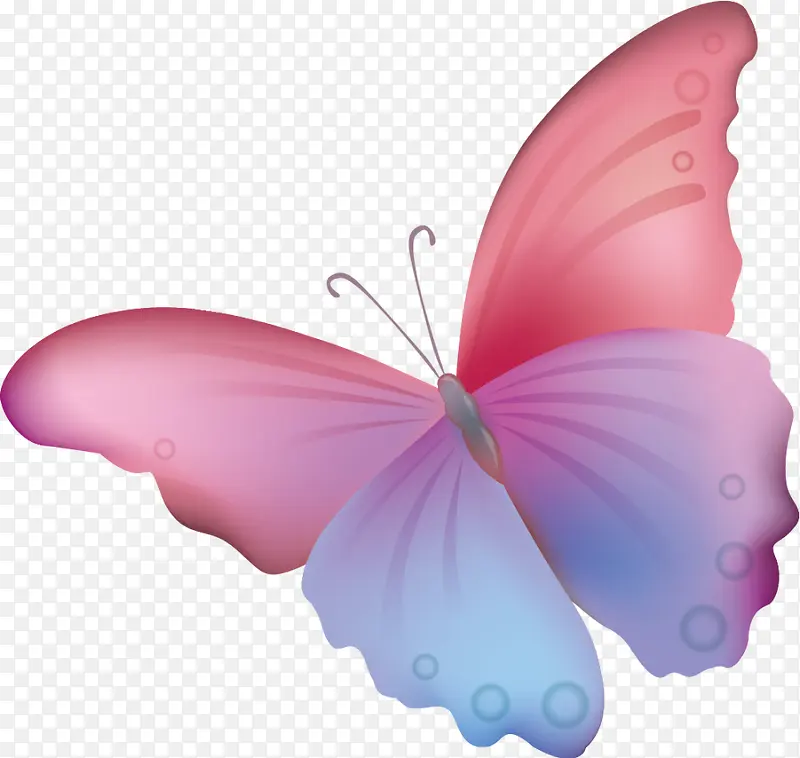 �ֻ��ʺ���-������