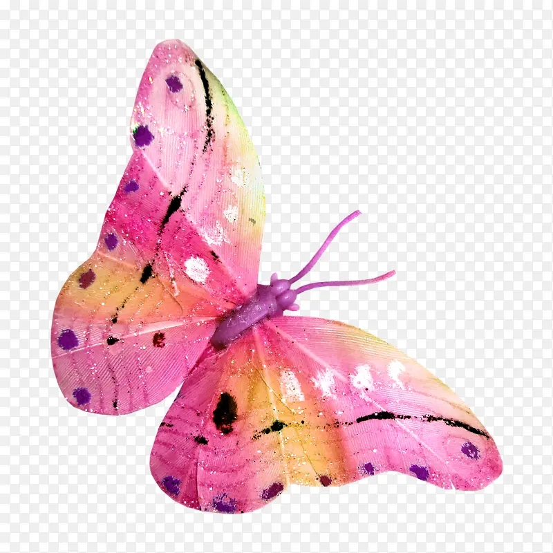 �ֻ��ɫ��������ز�-������