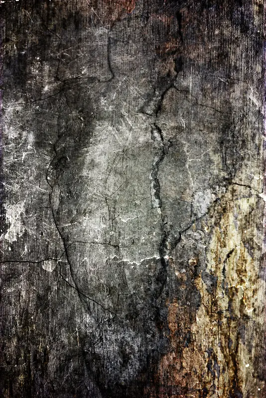 ���Ż���ǽ���ѷ챳��-������