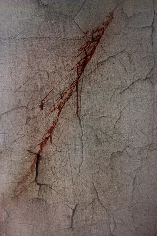 ǽ�����Ʊ���-������