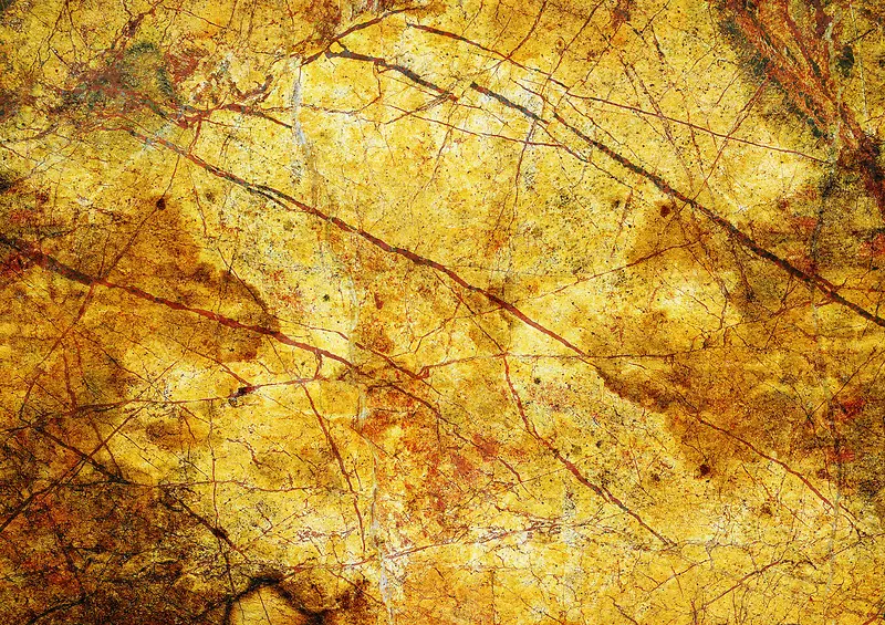 ǽ�����Ʊ���-������