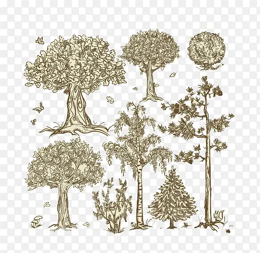 �ֻ���ľ-������