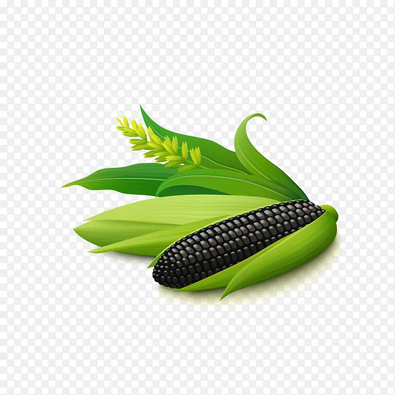 ���ʵ��������ʸ���ز�,-������