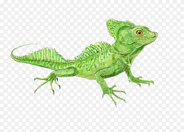 ��������-������