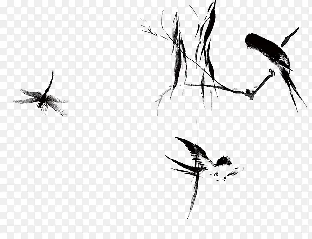 ��ͨ�ֻ�ë�ʻ�-������