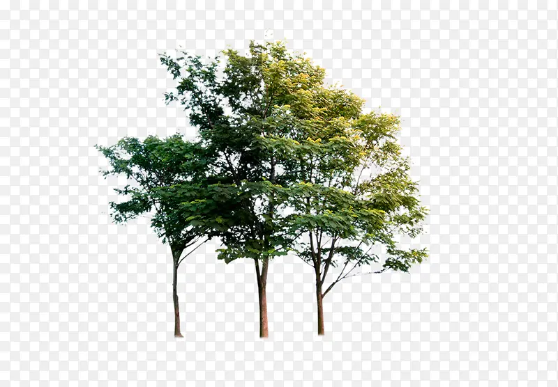 �����������-������