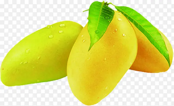 ����â��ˮ������-������