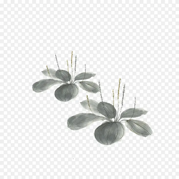 �ŷ�ˮī��-������