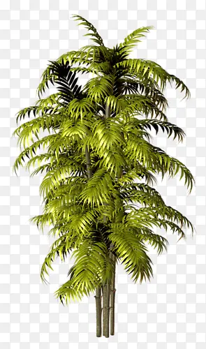 ��ɫ�����-������